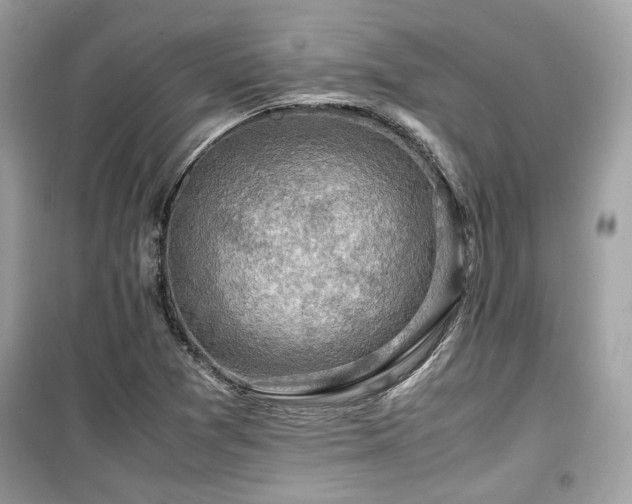 X0000099531361200805161201