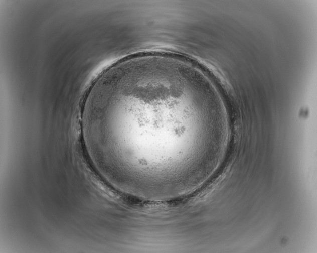 X0000099531363200805161201