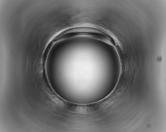 X0000099531364200805161201