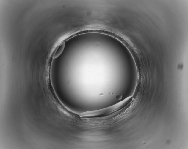 X0000099531366200805161201