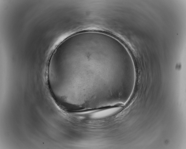 X0000099531367200805161201