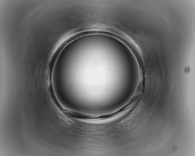 X0000099531368200805161201
