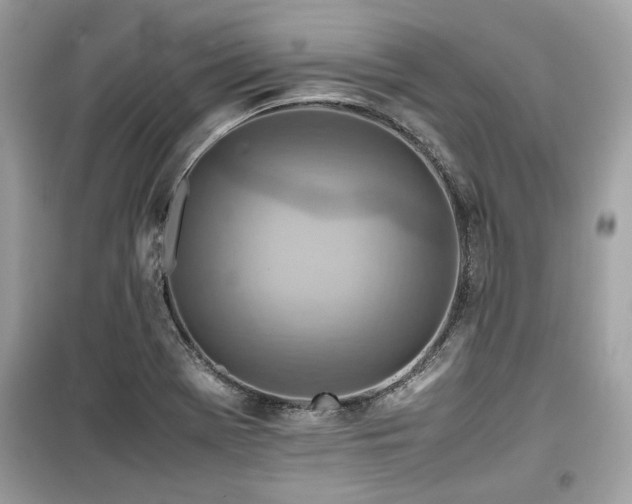 X0000099531369200805161201