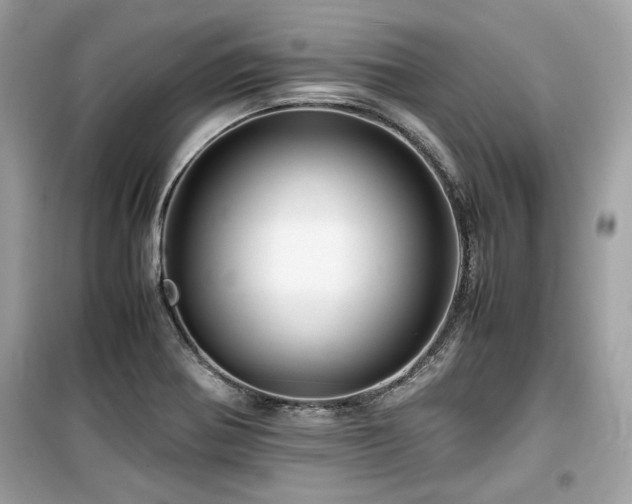 X0000099531370200805161201