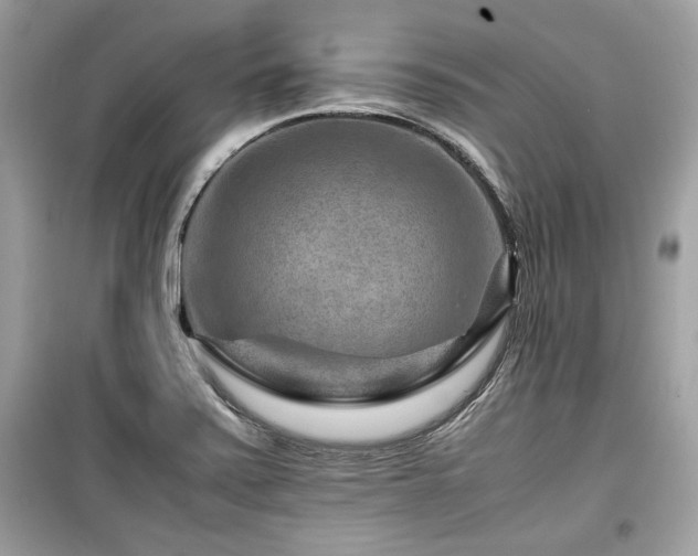 X0000099531371200805161201