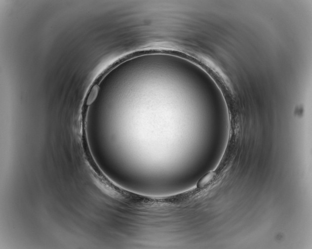 X0000099531372200805161201