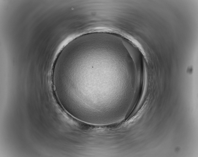 X0000099531373200805161201