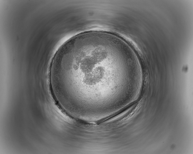 X0000099531375200805161201