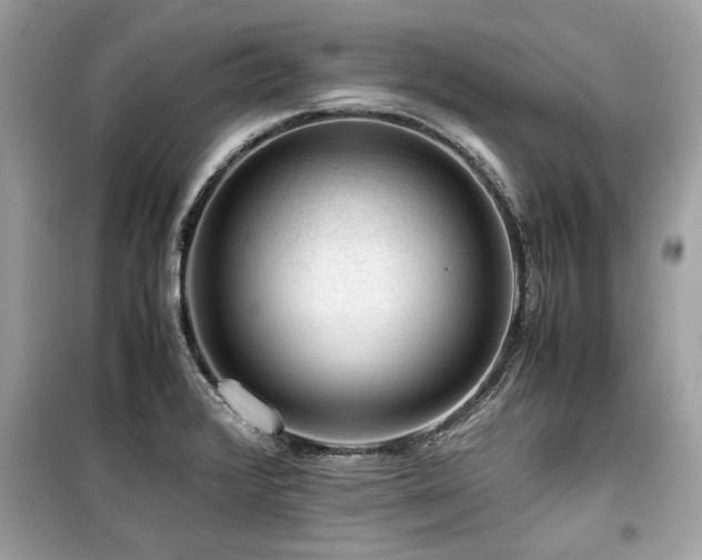X0000099531376200805161201