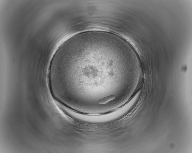 X0000099531379200805161201