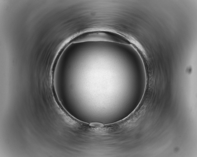 X0000099531380200805161201
