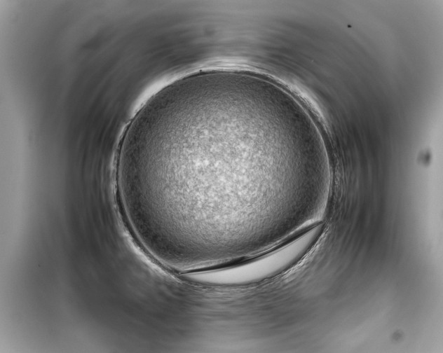 X0000099531382200805161200