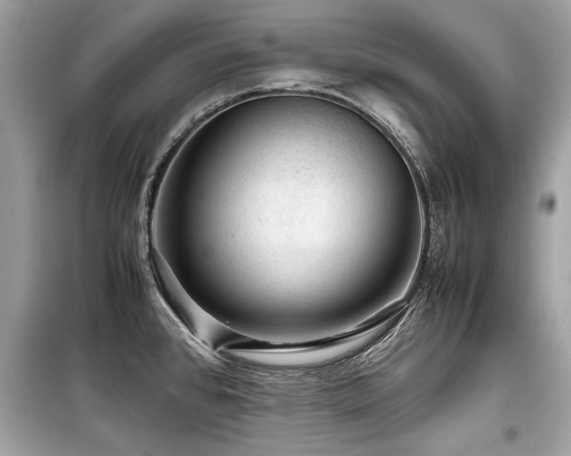 X0000099531384200805161200