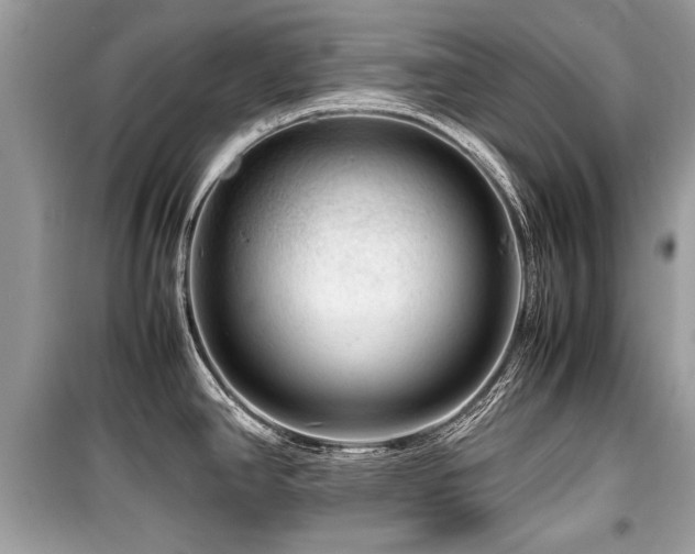 X0000099531390200805161200