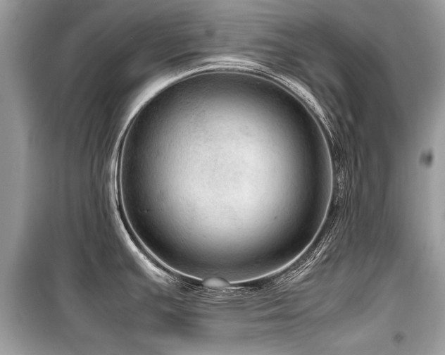X0000099531391200805161200