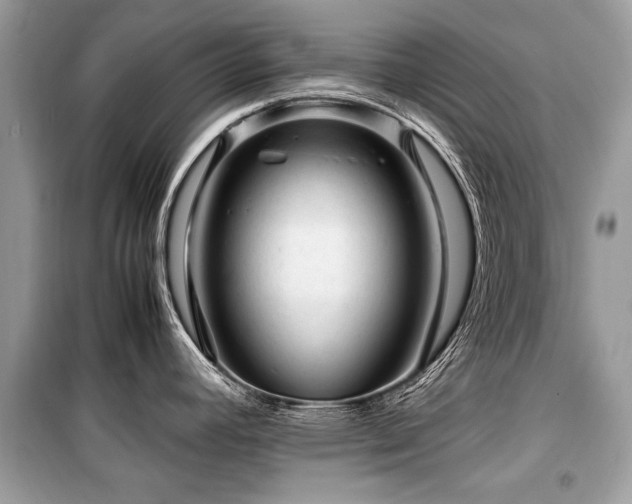 X0000099531392200805161200