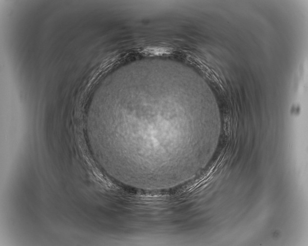 X0000099531393200805161159