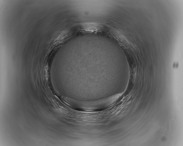 X0000099531394200805161200