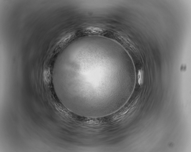 X0000099531395200805161200