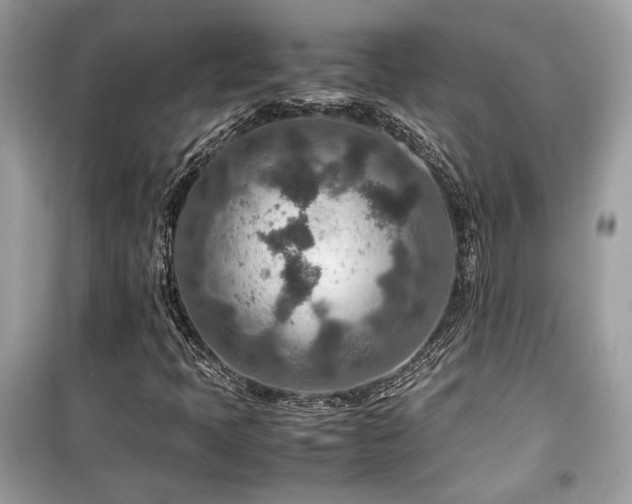 X0000099531397200805161200