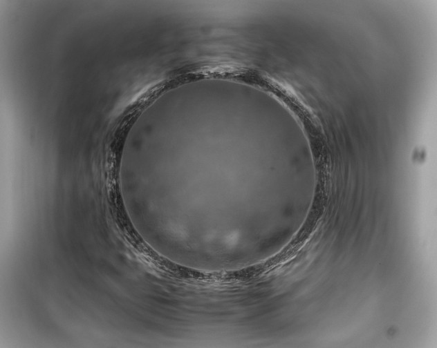 X0000099531399200805161200