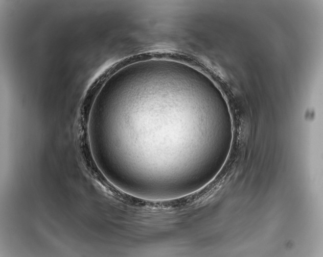 X0000099531400200805161200