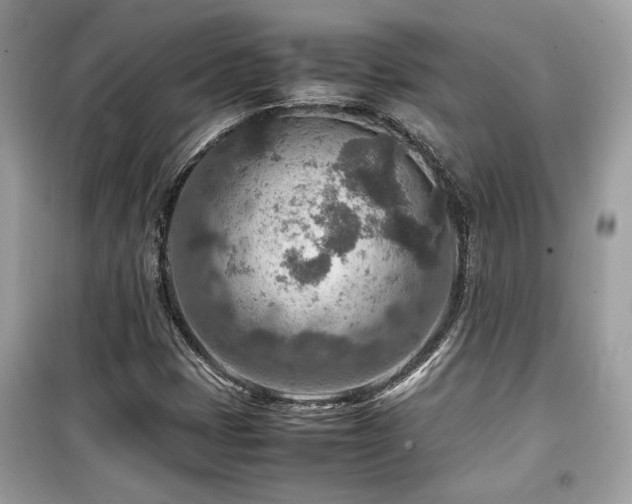 X0000099531401200805161200