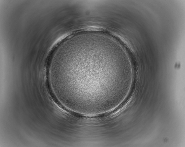 X0000099531402200805161200