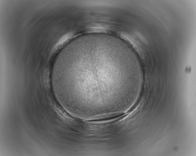 X0000099531403200805161200