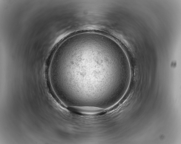 X0000099531404200805161200
