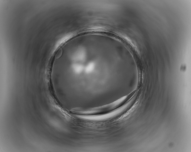 X0000099531405200805161200