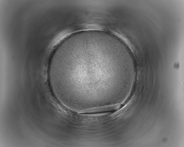 X0000099531407200805161200