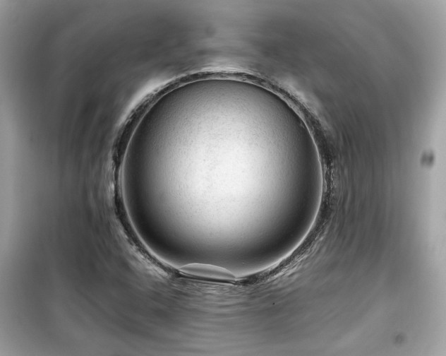 X0000099531408200805161200