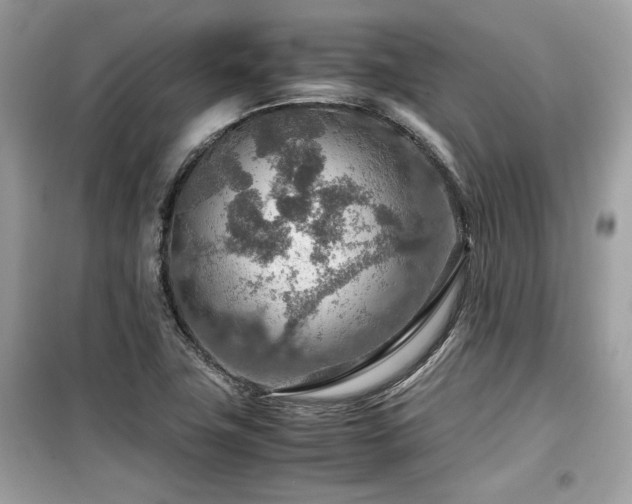 X0000099531411200805161200