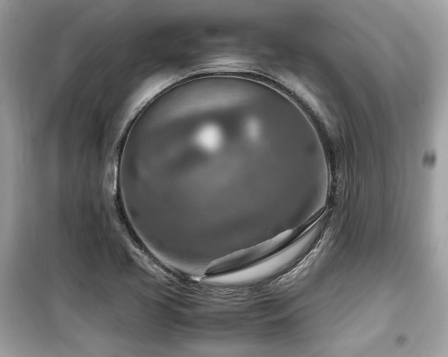 X0000099531413200805161200