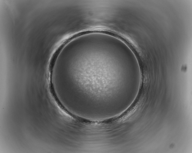X0000099531414200805161200
