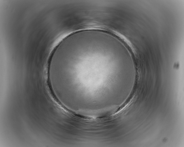 X0000099531415200805161200