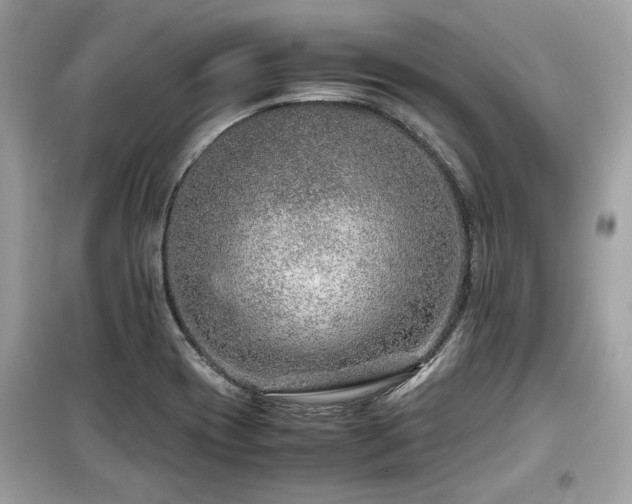 X0000099531417200805161200