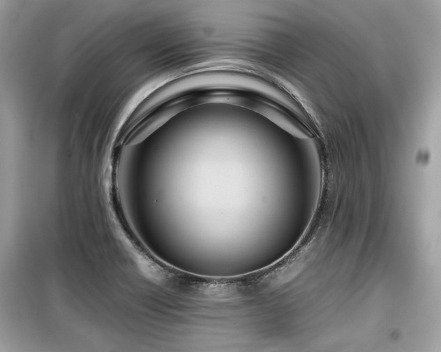 X0000099531418200805161200