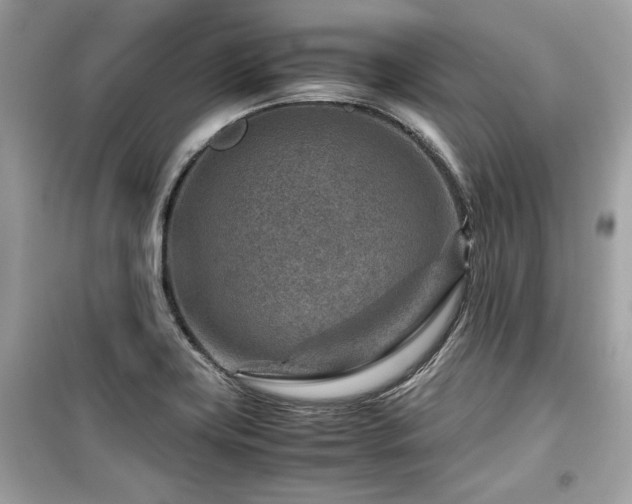 X0000099531419200805161200
