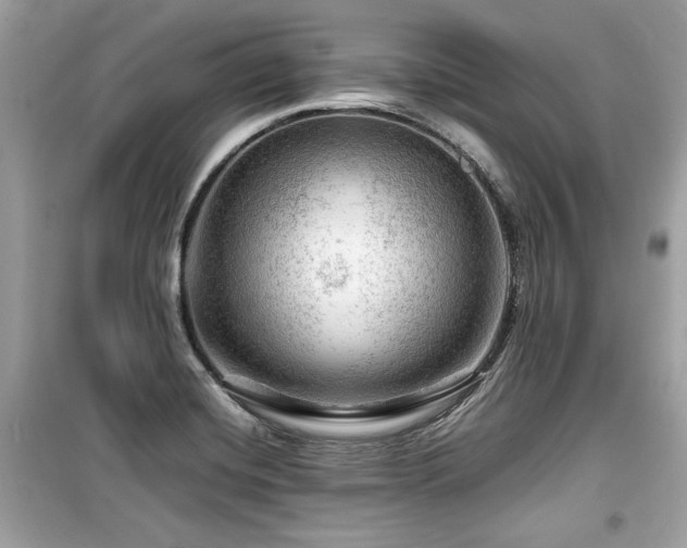 X0000099531420200805161200