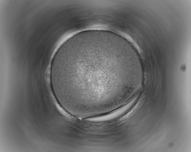 X0000099531421200805161200