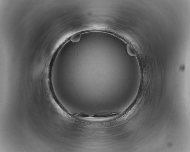 X0000099531422200805161200