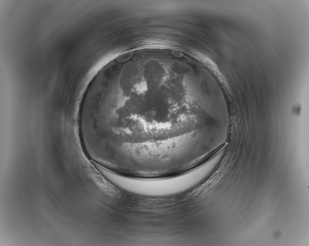 X0000099531427200805161200