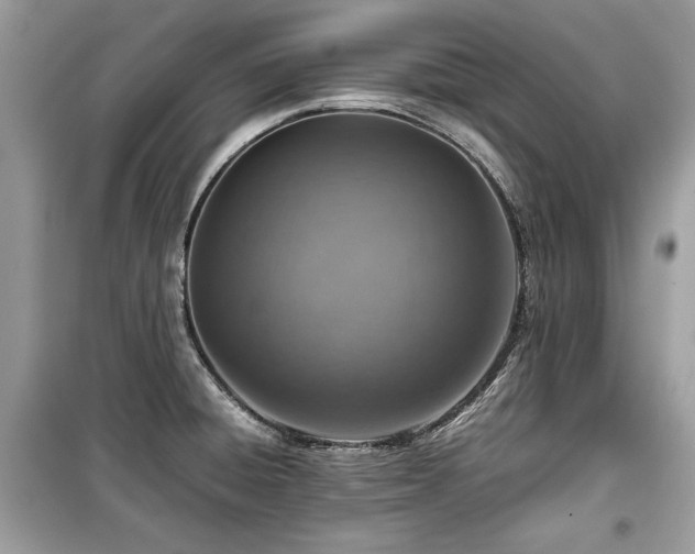 X0000099531428200805161200