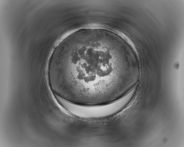 X0000099531429200805161200