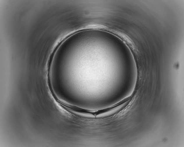 X0000099531430200805161200