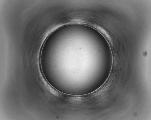 X0000099531431200805161200
