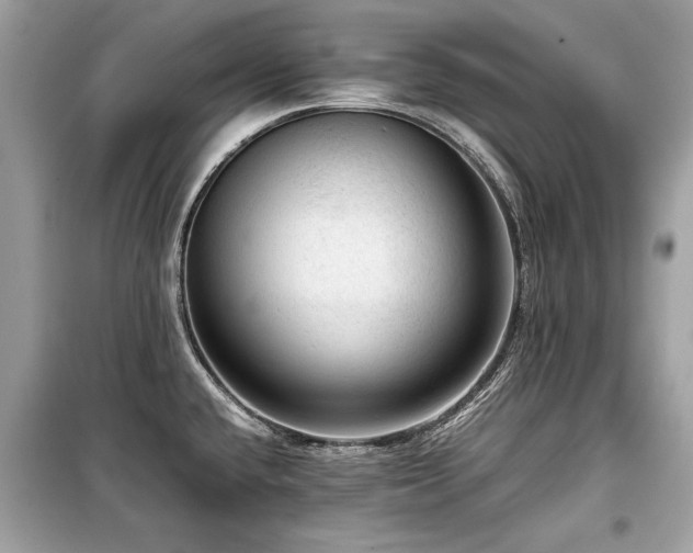 X0000099531432200805161200