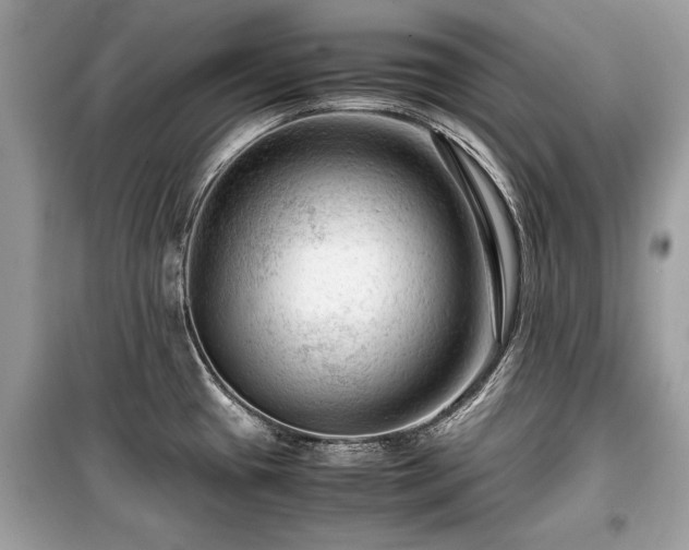 X0000099531433200805161200